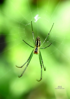 十分瀑布~十分幸福