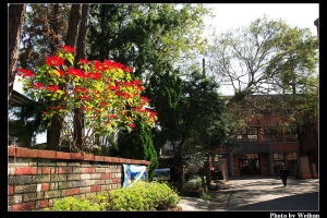 色彩繽紛的南庄