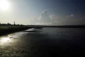 +2kit鏡下的八里剪影+