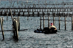 20130429 七股觀海樓夕照