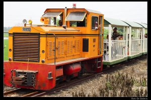 嘉義--八老爺牧場