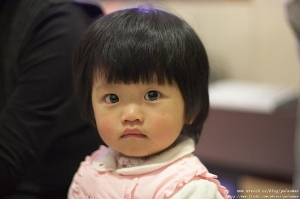 便宜又好玩的50/1.8