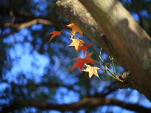 101.01.10石門水庫~~新手發表