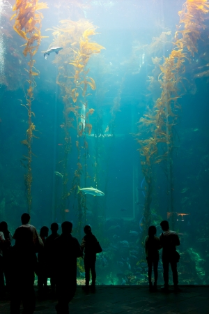 國立海洋生物博物館