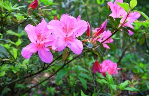 初次到訪~~~張貼風景圖^^