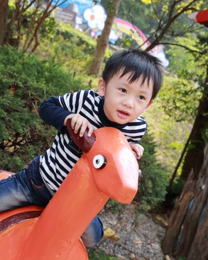 遲來的開箱 24-70II