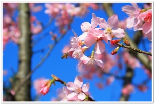 test3