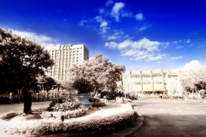 彷紅外線攝影後製的作品