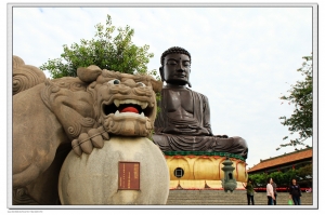 八卦山隨手拍(有咩)