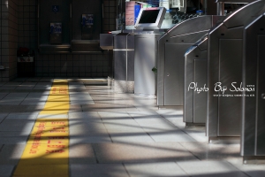 忠義站-美女出沒