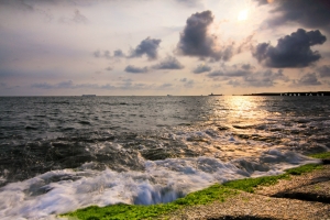被遺忘的海港 夕