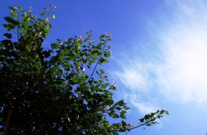 低氣壓,高雄,雲~~~~