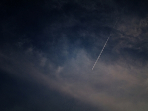 [G10]桃園 八德埤塘生態公園