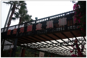 九降風‧金漢柿餅