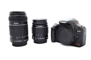 500D+55-250mm IS 動物園試拍