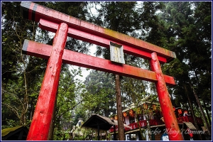杰克之 鋤魔鏟妖遊記