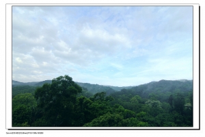苗栗三義看油桐花...順便去天空之城看看...