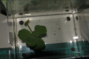 [極微距]生命的讚嘆.....無私的奉獻.....