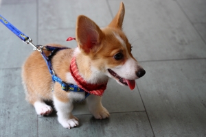 小可寶貝~趴趴走(再補女王與女兒)