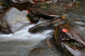沐浴在雨中PART2之探訪傳說中的108k