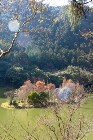 宜蘭明池森林遊樂區, 2010