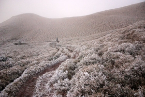 [300D] 白色奇萊南峰