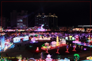 ‎2013台灣燈會試燈亂拍~