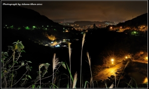 北投夜曝@毒魔兔