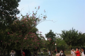 今天Canon上課時候拍的...