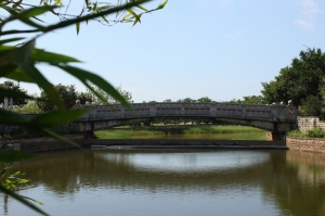 都會公園
