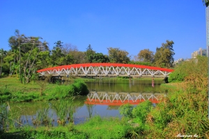 我的片刻休閒的假日時光