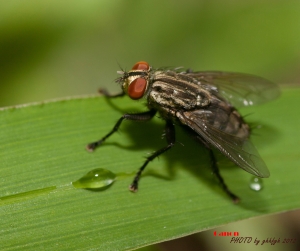 5D2的初體驗~生態