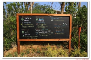 柴柴苗栗薰衣草森林一日遊