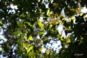 新竹十八尖山&nbsp;&nbsp;試機