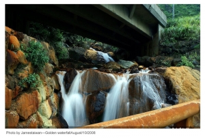 黃金博物館途中