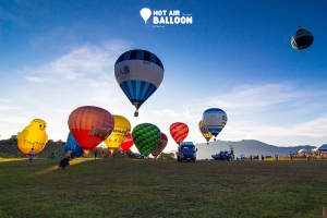 2013 鹿野の熱気球 08/11