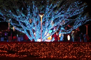 燈光燦爛的台北燈節