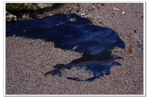 我在墾丁天氣晴