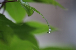 水滴