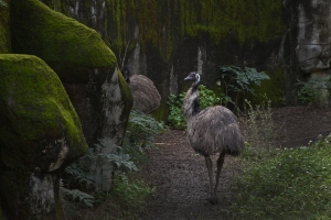 台北動物園