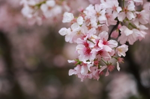 我也來去天元宮