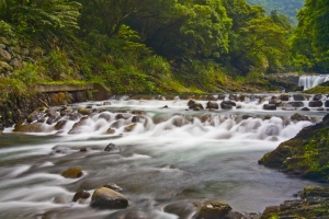 大豹溪溪曝習拍