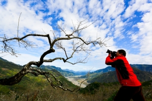 梅的故鄉-烏松崙