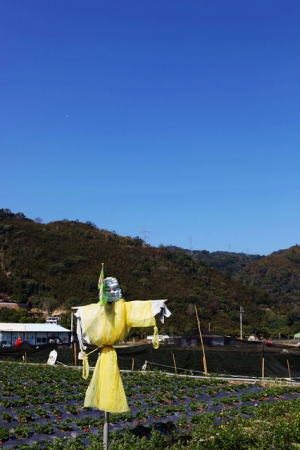 大湖草莓&勝興車站之旅