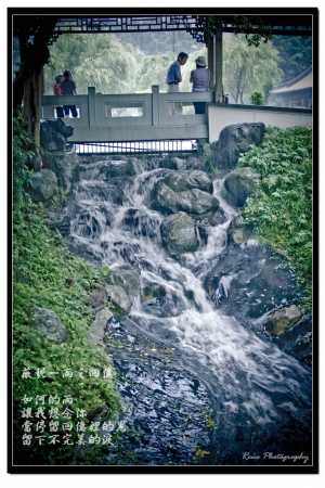 【薇妮 。 雨の回憶】
