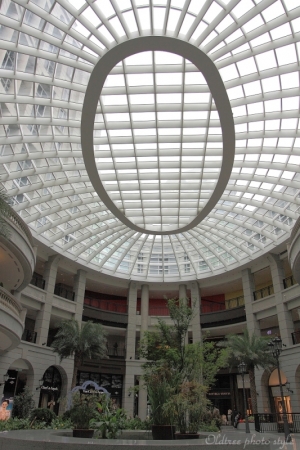 夢想的國度-BELLAVITA