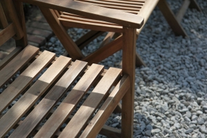 彩攝糖花博揪團遊_隨拍篇