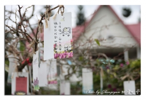 情人~桃源仙谷