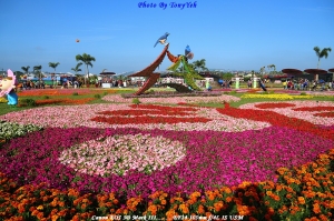 新社花海-人比花嬌 ... By TONY