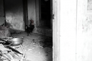 雞籠,基隆~正悄悄改變中